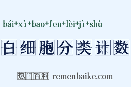 白细胞分类计数是什么意思的图片
